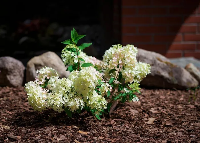 Park Διαμέρισμα Ostrzyce